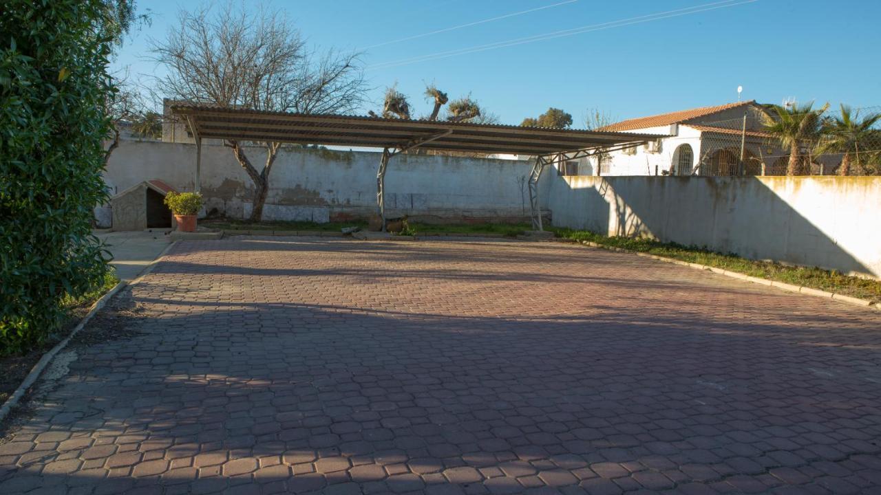 Estudio Adosado Con Jardin Y Parking Privado Alicante Exterior photo