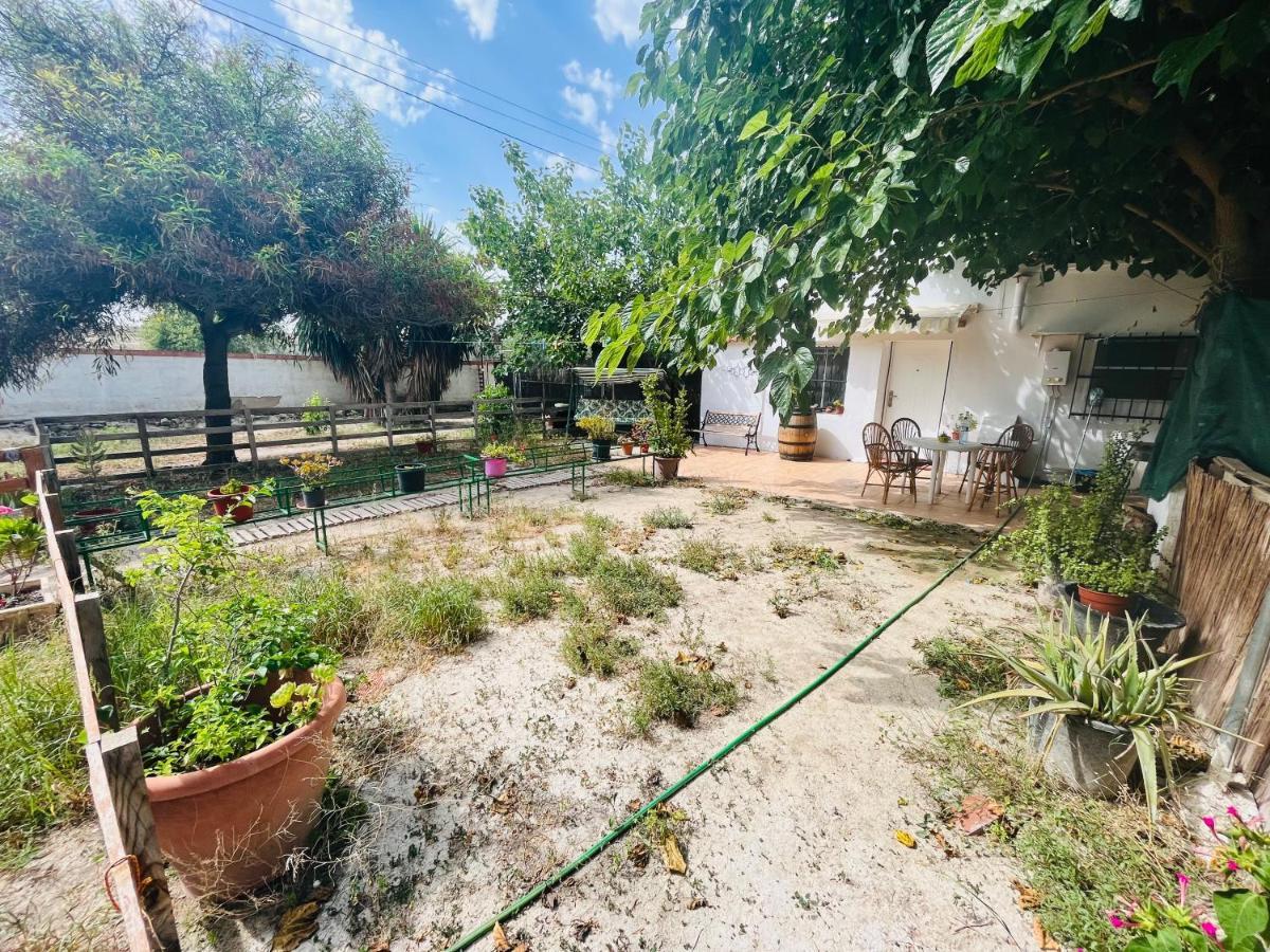 Estudio Adosado Con Jardin Y Parking Privado Alicante Exterior photo